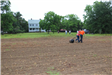 Rolling soil to flatten after seed planting