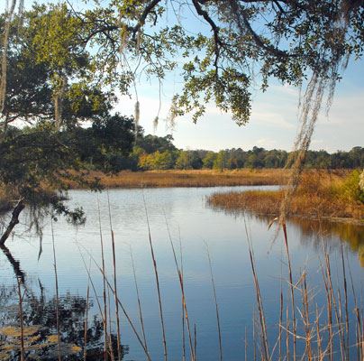 Caw Caw Interpretive Center