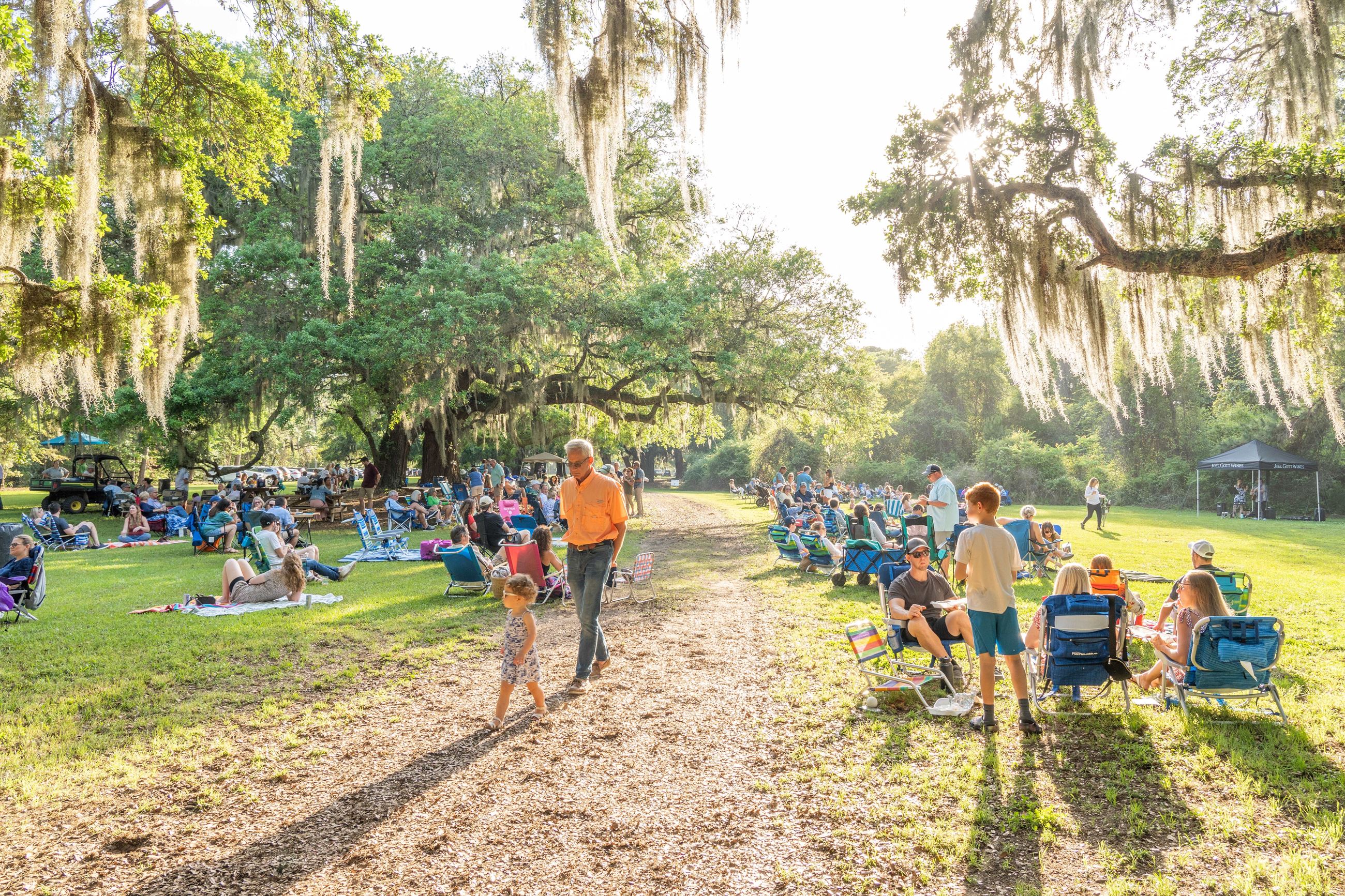 Kids playing under big oak trees at dusk surrounded by a field of people listening to live music.